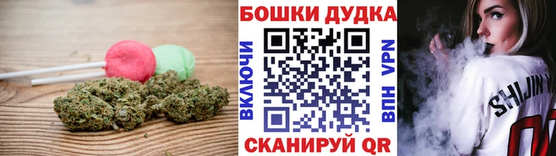 цена   Белорецк  Canna-Cookies конопля 