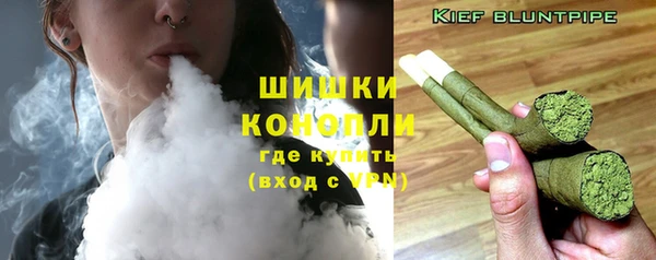 прущие грибы Бугульма