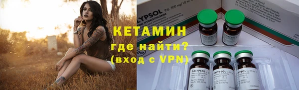 сатива Богородицк