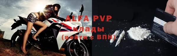 прущие грибы Бугульма
