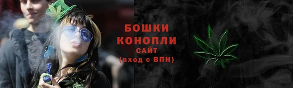 сатива Богородицк