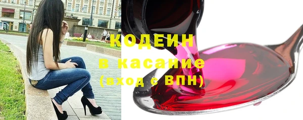 2c-b Бородино