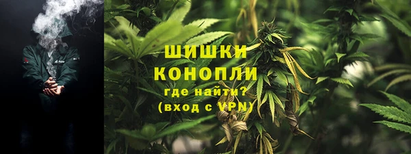 крисы Богданович