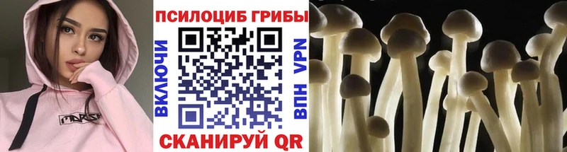 это состав Белорецк Галлюциногенные грибы прущие грибы